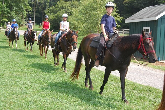 Alanya Horseback Riding in the Taurus Mountains with Transfer - Meeting Point and Transportation Logistics