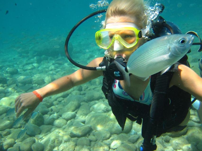 Alanya: Scuba Diving Experience with Lunch - Key Details of the Diving Experience and Equipment