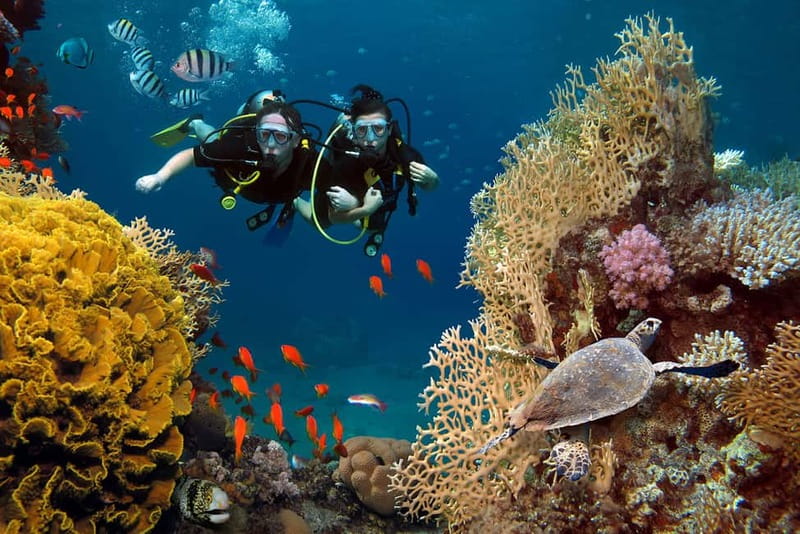 Alanya: Scuba Diving Tour with Lunch and Hotel Transfers - Convenient Hotel Transfers with Clear Pickup Arrangements