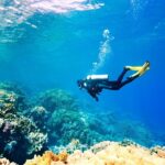 Alanya Scuba Diving with Hotel Transfer incl. Lunch - Dive Sites Suitable for All Skill Levels