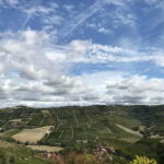 Alba: Wine Tasting and Tour with a Local Producer - Starting Point in Alba at the Cascina Piccaluga Estate