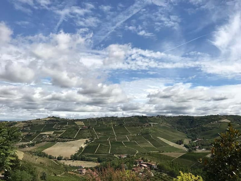 Alba: Wine Tasting and Tour with a Local Producer - Starting Point in Alba at the Cascina Piccaluga Estate