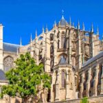 Albacete; Truffle Hunting Tour with Gourmet Menu and Visit to Chorros de Riopar - Convenient Pickup and Transportation in Albacete