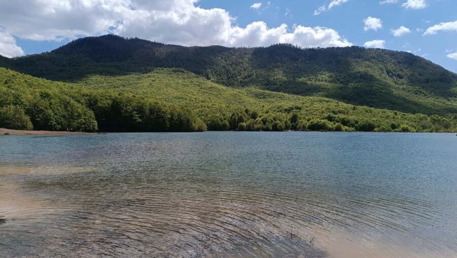 Albania: Culture in AI Development: Art Residency Project - Starting Point: Convenient Pickup and Transport