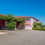 Albariño Private Wine Tour from Santiago de Compostela - A Taste of Galicia at a Local Furancho