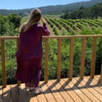 Albariño Wine Tour: Taste, Learn & Take Home a Special Gift - Visiting a Galicia Winery in the O Rosal Valley