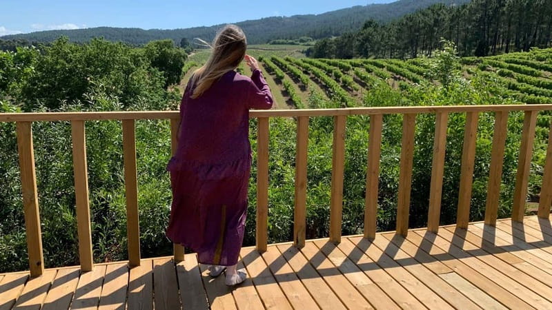 Albariño Wine Tour: Taste, Learn & Take Home a Special Gift - Visiting a Galicia Winery in the O Rosal Valley