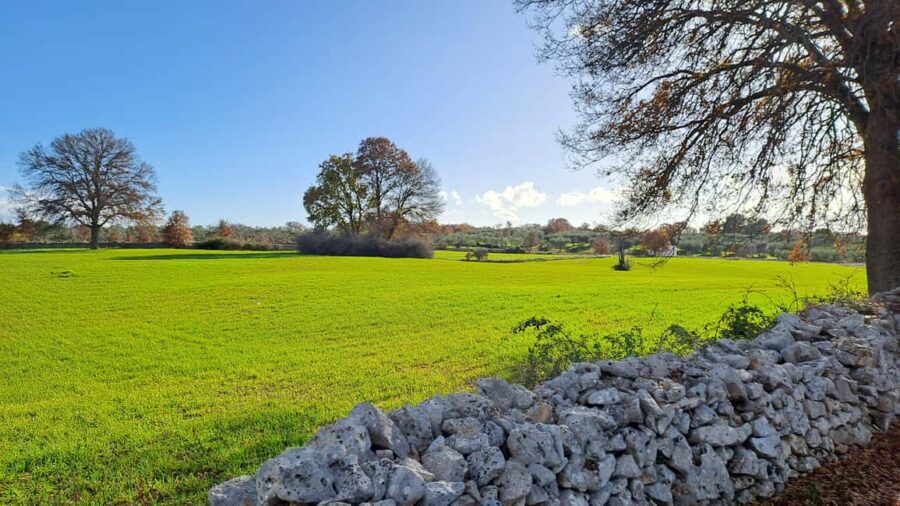 Alberobello: E-Bike Tour to Locorotondo with Ice Cream - Starting Point and How the Tour Begins