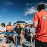 Albufeira: 2.5-Hour Benagil Caves & Dolphin Watching - The Benagil Caves: Access and Regulations