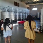 Albufeira: Algarve Coast Guided Tour with Wine Tasting - Exploring Senhora da Rocha’s Cliffs and Chapel