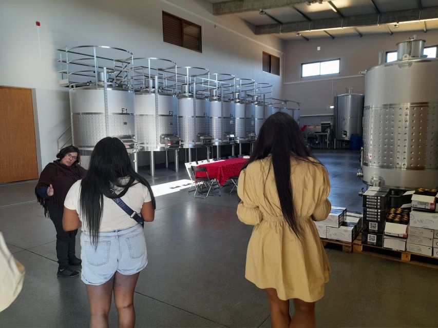 Albufeira: Algarve Coast Guided Tour with Wine Tasting - Exploring Senhora da Rocha’s Cliffs and Chapel