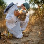 Albufeira: Beekeeping Experience with Honey Tasting - Who Will Enjoy This Beekeeping Experience?
