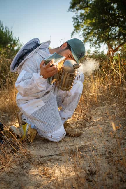 Albufeira: Beekeeping Experience with Honey Tasting - Who Will Enjoy This Beekeeping Experience?