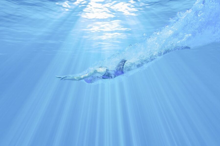 Albufeira: Benagil Caves & Dolphin Watching Speed Boat Tour - The Speedboat Experience and Boat Features