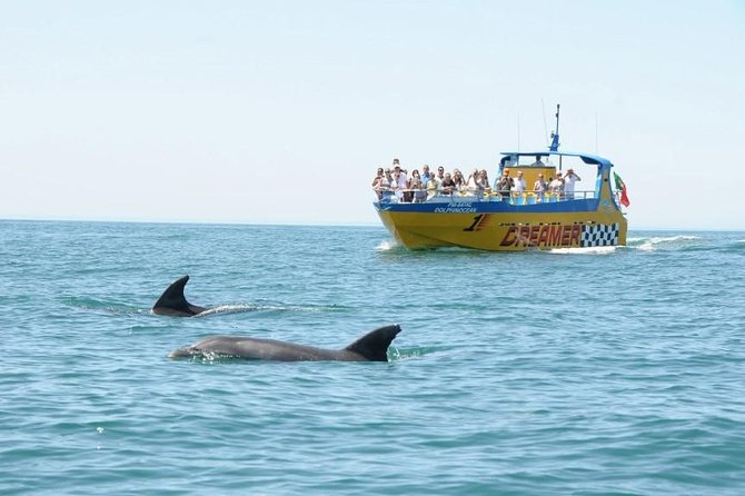 Albufeira Dreamer Boat Trip - Dolphin Watching in Natural Habitat