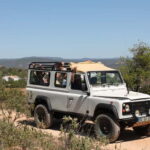Albufeira Jeep Safari with Zoo - Discovering Paderne Castle and Its Surroundings