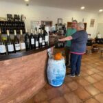 Albufeira, Olhão, Faro: Visit a vineyard, Free time in Silves - Exploring Silves: A Town of Medieval Charm and Views