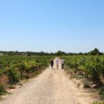 Albufeira/Porches/Vilamoura: Wine Tasting with Tapas & Music - Exploring the Algarve Wine Estate