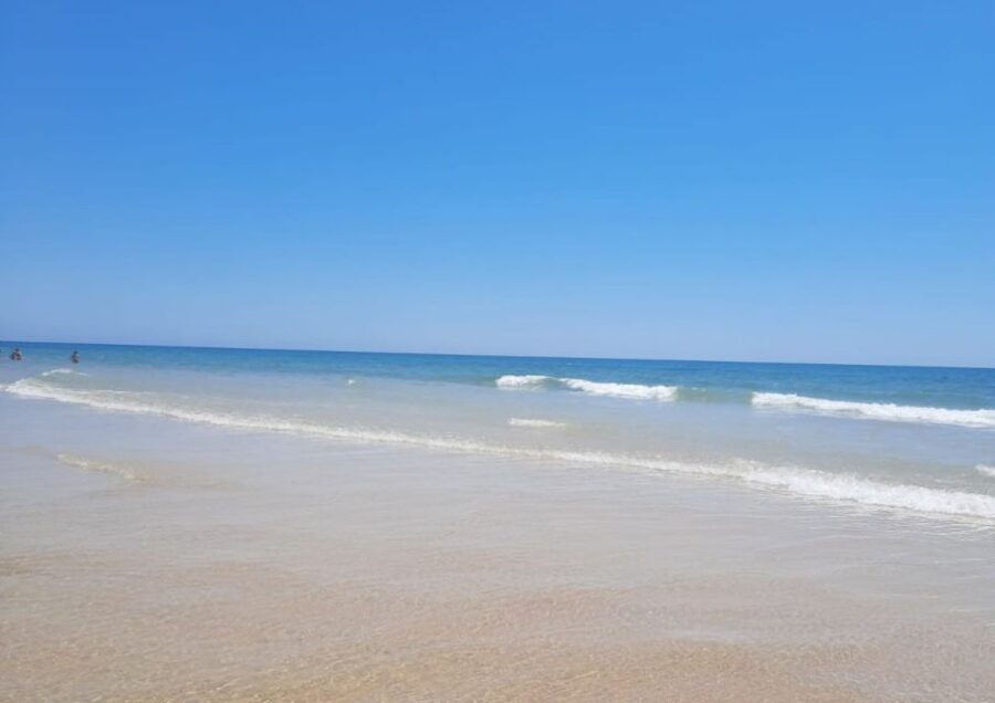 Albufeira - Visit Olhão & Culatra Island with lunch included - Exploring the Historic Center of Olhão