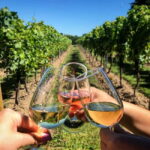 Albufeira: Wine Tasting Tour - 4H - From Pickup to Historic Paderne Castle