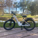 Albufera Bike Adventure: Wetlands, Beaches & Biodiversity - Coastal Route Through Pinedo, Garrofera & El Saler