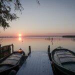 Albufera Natural Park with a Boat Tour from Valencia - Experience the Tranquility of the Boat Ride