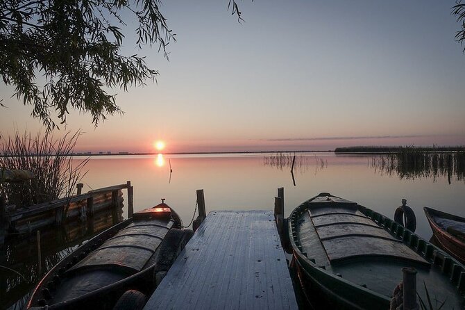 Albufera Natural Park with a Boat Tour from Valencia - Experience the Tranquility of the Boat Ride