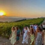 Alcamo: Natural Wine & Olive Oil Tasting - Sicily - The Starting Point and Meeting Details in Alcamo