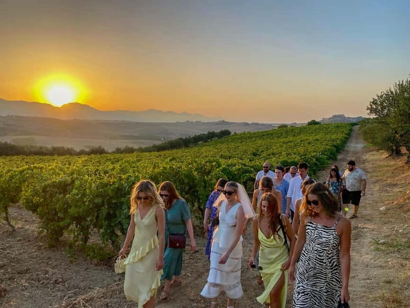 Alcamo: Natural Wine & Olive Oil Tasting - Sicily - The Starting Point and Meeting Details in Alcamo