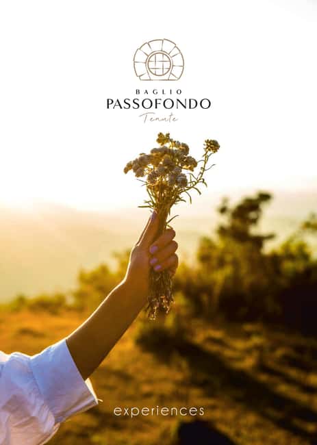 Alcamo: Wine Tasting, 5 Tenute Baglio Passofondo labels - Starting at the Rural Sicilian Baglio