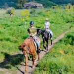 Alcantara: Horseback riding through gorges, Byzantine Cuba, and nature - Starting Point at Alcantara Horse Riding