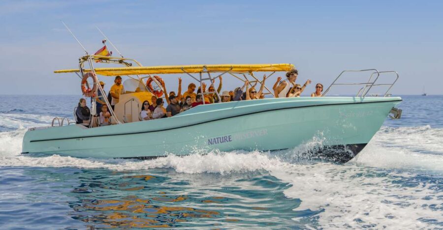 Alcudia: Coll Baix Beach & Sea Caves Cruise with Snorkeling - Water Activities at Coll Baix: Snorkeling and Paddleboarding