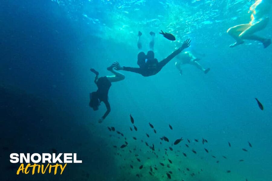 Alcudia: Kayaking Tour with Snorkel & Sea Cave Swim - What’s Included in the Price