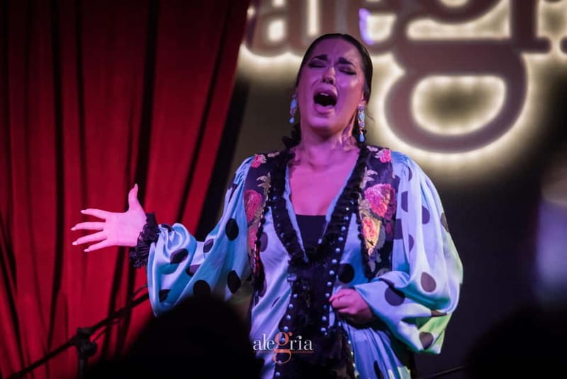 Alegria Flamenco in Malaga, with Transfer, Cocktail and Premium Location - Convenient Hotel Transfers from Torremolinos and Benalmádena