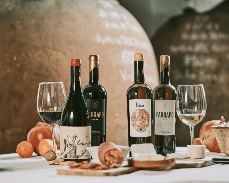 Alentejo: Visit and Taste the tradition of Talha Wines - Discovering the 250-Year-Old Wine Cellar