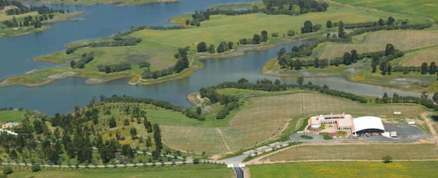 Alentejo Wine Tour from the Algarve - From Portimão to the Heart of Alentejo’s Vineyards