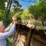 Alesund 4 hours Heritage Sightseeing Tour - Starting the Journey in Ålesund’s Elegant Streets