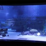 Alexander Waterfall and Antalya Aquarium Day Tour from Side - The Tour Begins with Hotel Pickup and Alexander Waterfall