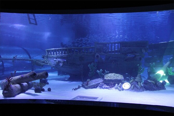 Alexander Waterfall and Antalya Aquarium Day Tour from Side - The Tour Begins with Hotel Pickup and Alexander Waterfall