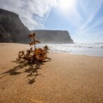 Algarve: Amazing Private Surf Lesson 2 hours - The Focus on Sustainability and Eco-Responsibility