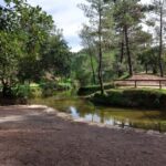 Algarve: Cork Factory, Fonte Férrea Park, & Distillery Tour - Starting Point and Tour Duration