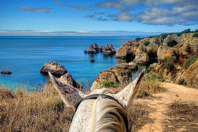 Algarve - Exclusive horseriding in Portimao (no experience required) - The Coastal Trail and Scenic Views