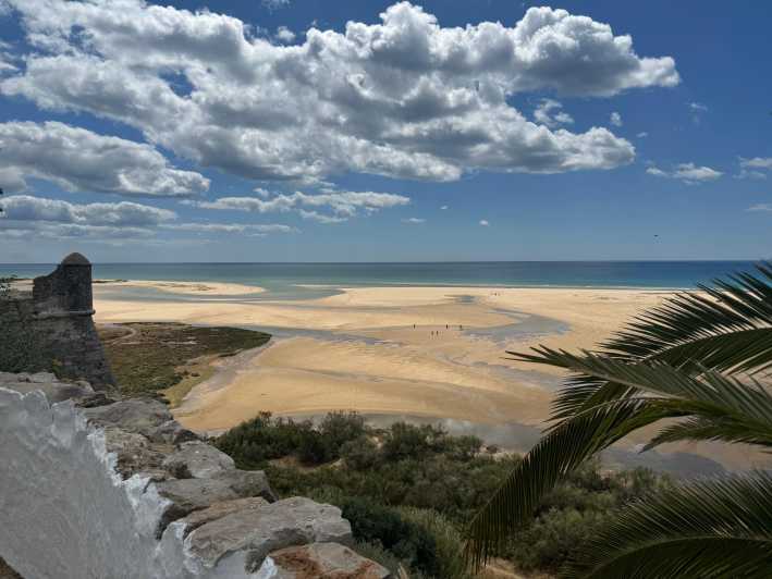 Algarve, Lisbon; V.I.P. Women's road trip with female guide - The Female Guide: A Trusted Companion