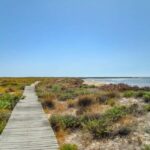 Algarve: Olhão Highlights Tour and Ria Formosa Boat Trip - Starting the Day with Olhão’s Traditional Market