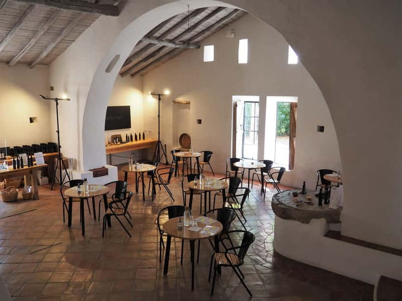 Algarve: Olive Oil, Market, and Ria Formosa Boat Tour - Exploring Lagar Monterosa and Olive Oil Production