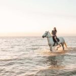 Algarve: Premium Guided Horseback Ride with Picnic - Logistical Details: Pickup, Group Size, and Flexibility