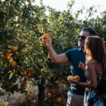 Algarve: Silves, Orange Grove & Monchique Mountains Tour - Exploring Silves and Its Historic Charm