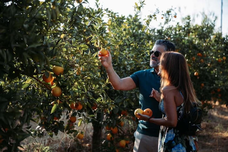 Algarve: Silves, Orange Grove & Monchique Mountains Tour - Exploring Silves and Its Historic Charm