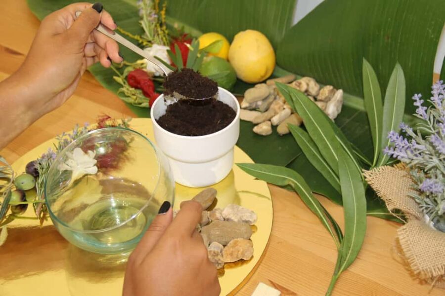 Algarve: Terrarium-Making Workshop with Snacks - Precise Location and Meeting Point in Albufeira