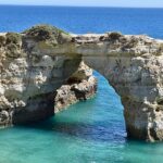 Algarve to Porto with Stops up to 2 Cities: Evora and Coimbra - Guided Tour of Coimbra’s Main Attractions